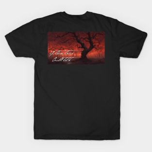 If These Trees Could Talk T-Shirt